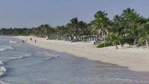 Aerial view of the turquoise sea and sandy beach at Tulum, Mexico Vidéo 335073653