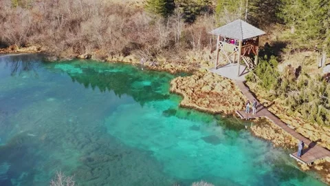 Aerial view of turquoise spring pools and vegetation, Slovenia Stock Footage 325219121
