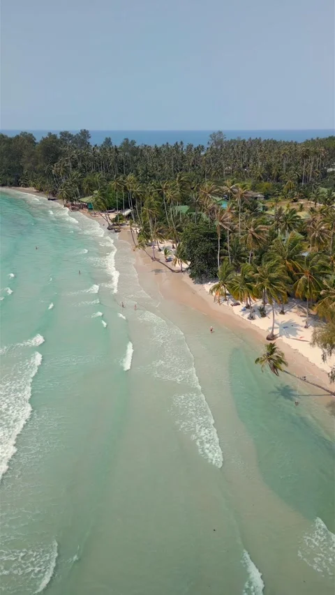 Aerial view of turquoise waves and palm-lined beach on Koh Kood, Thailand Stock Footage 323295306