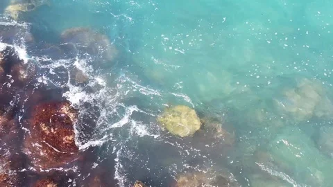 Aerial view of Turtle playing in waves - Maui, Hawai'i Stock Footage 109117316