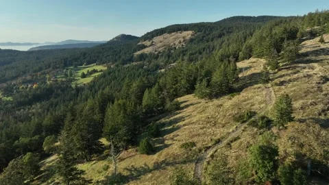 Aerial view of the Turtleback Mountain Preserve, Orcas Island, Washington, USA Stock Footage 310679671