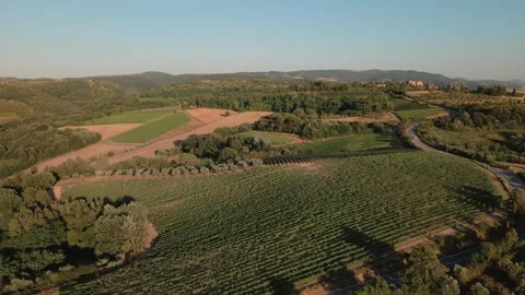 Aerial view of Tuscany Stock Footage 245277268