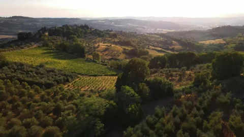 Aerial view of Tuscany Stock Footage 245280258