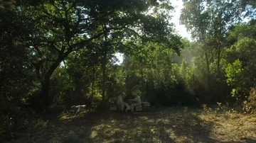 Aerial view of two beekeepers man checking wooden frame before harvesting honey Stock Footage 85471835