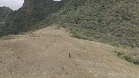 Aerial view of two campers walking through the tall grass on Picacho Hill in Stock Footage 343904302