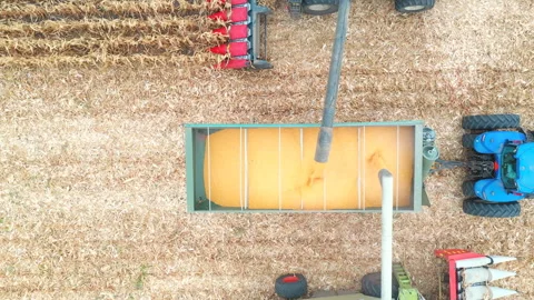 Aerial view of two combines loading off corn grains into tractor trailer. Flying Stock Footage 329301756