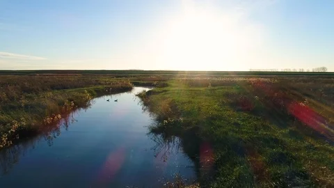 Aerial view of two ducks floating over stream during sunset, Netherlands. Video stock 101567814