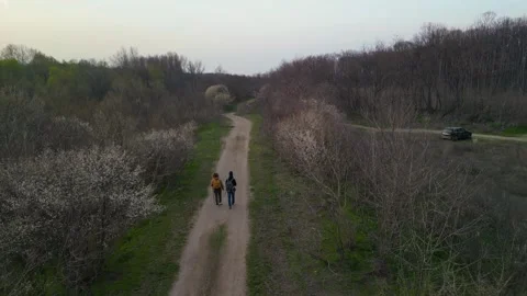 Aerial View of Two Hikers Walking Down Forest Trail in Early Spring Stock Footage 341400998