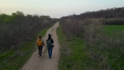 Aerial View of Two Hikers Walking Down Forest Trail in Early Spring Stock Footage 341401002
