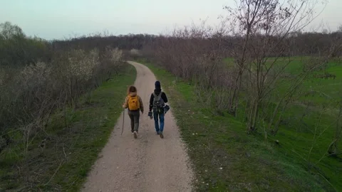 Aerial View of Two Hikers Walking Down Forest Trail in Early Spring Stock Footage 341401079