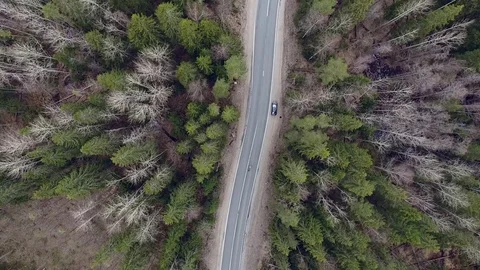Aerial view of two-lane forest road with cars trucks moving Video stock 84592646