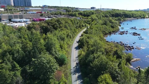 Aerial View Two Men Jogging In Green Park While Listening With Headphones Video stock 317901683