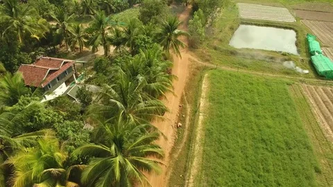 Aerial view of two men riding motorbikes on trail through field, Cambodia 動画素材 83534797