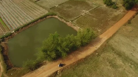 Aerial view of two men riding motorbikes on trail through field, Cambodia Stock Footage 83534822