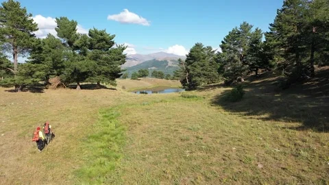 Aerial view of two men walking towards the lake Stock Footage 294093588
