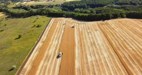 Aerial view of two modern combines harvesting wheat on the field. Stock Footage 135815257
