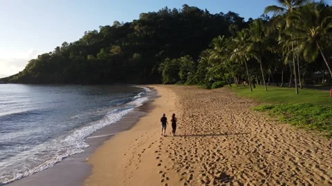 Aerial View Of Two People Walking On A Sandy Beach, Along The Coastline Stock Footage 239574548