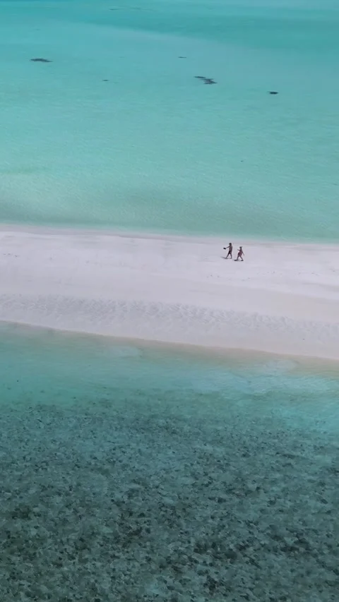 Aerial view of two people walking at small sandbank.Vertical video Stock Footage 305628016