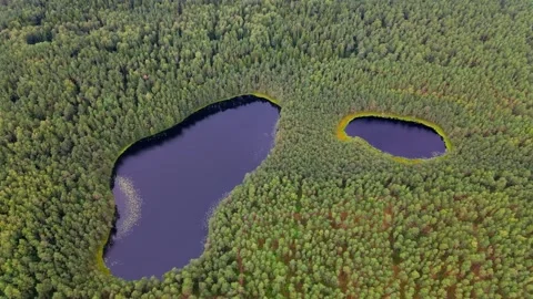 Aerial view of two round lakes in the middle of the forest Stock Footage 169870345