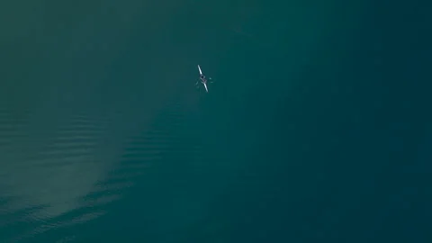 An aerial view of the two rowing a boat on the lake Видео 345944169