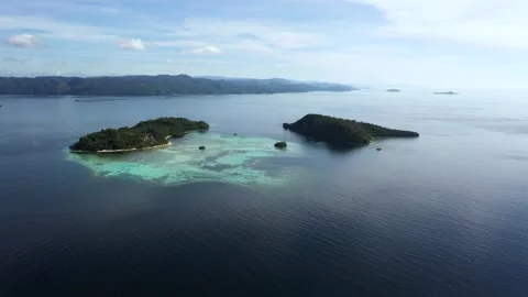 Aerial view of two small islands with turquoise reef waters, Raja Ampat Video stock 334631719