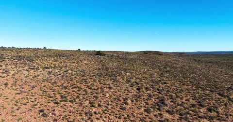 Aerial View of Two Springbok Traversing the Rugged Karoo Landscape, South Africa Stock-Footage 341516496