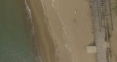 Aerial view of two stray dogs walking on the empty beach 库存影片 201595941