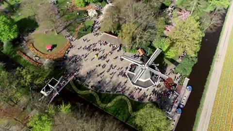 Aerial view of typical Dutch windmill and tourists walking around 4k Stock Footage 263648393