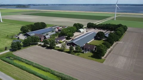 Aerial view of typical farm located at polder landscape 4k Stock Footage 158041952