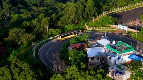 Aerial View of U-Shaped Mountain Road with a Bus Passing Through Tea Plantations Видео 341311713