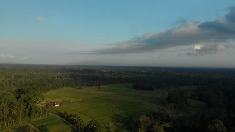 Aerial view of Ubud Stock Footage 108219884