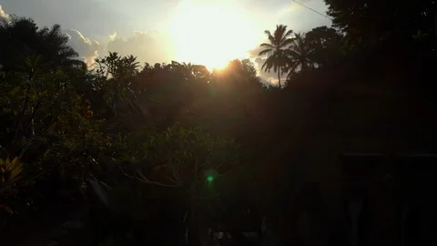 Aerial view of Ubud Stock Footage 108219903