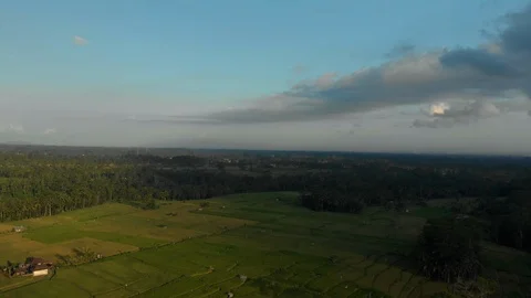 Aerial view of Ubud Stock Footage 108220275