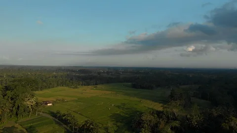 Aerial view of Ubud Stock Footage 108220459