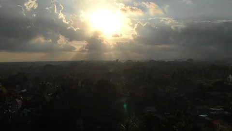 Aerial view of Ubud Stock Footage 108223113