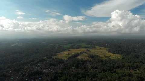 Aerial view of Ubud Stock Footage 108296826