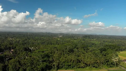 Aerial view of Ubud Stock Footage 108297887