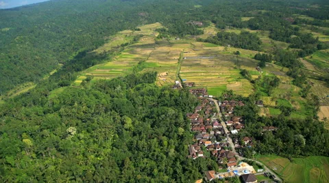 Aerial view Ubud plantation farming rice terraces Bali Indonesia Southeast Asia Stock Footage