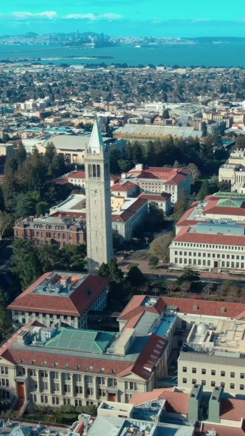 Aerial view of UC Berkeley campus with S.F. in the distance. University Of Stock Footage 316874712