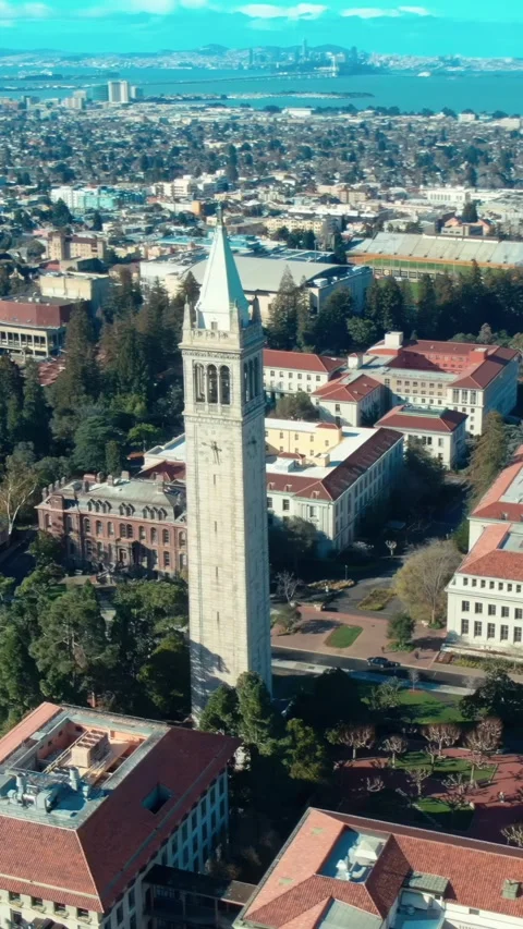Aerial view of UC Berkeley campus with S.F. in the distance. University Of Stock Footage 316874750