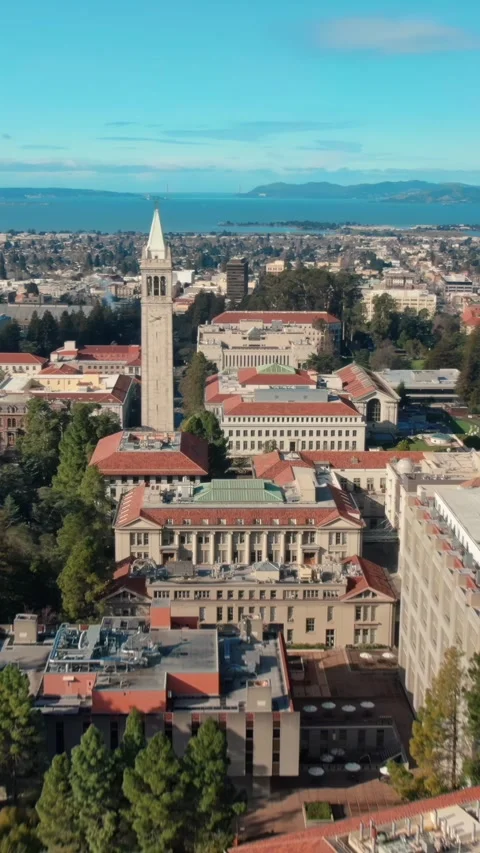 Aerial view of UC Berkeley campus with S.F. in the distance. University Of Stock Footage 316874763