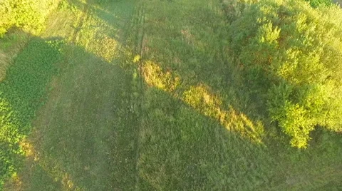 Aerial view of Ukrainian fields at sunset Vídeo Stock 65262048