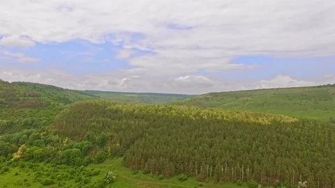Aerial view of Ukrainian Forest Stock Footage 99485909