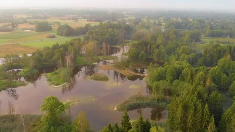 Aerial view of unique karst lakes and forest in Kirkilai, Biržai Regional Park, 스톡 동영상 321754545