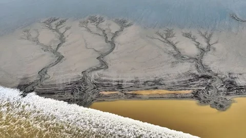 Aerial View of Unique Tidal Tree Patterns on Qiantang River Mudflats China Stock Footage 342602645