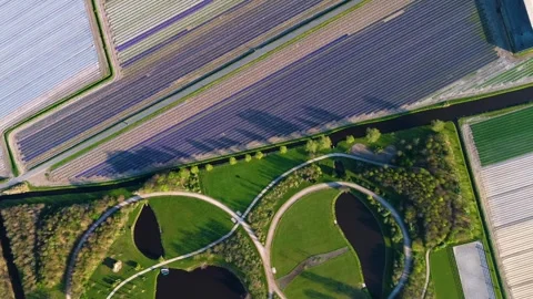 Aerial view of a uniquely designed park with circular paths and ponds Stock Footage 306840570