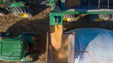 Aerial view of unloading corn grain into tractor trailer after harvest in field. Foto stock