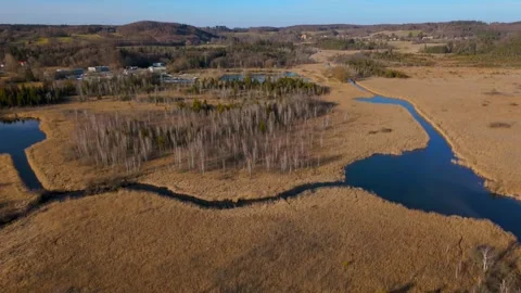 Aerial view of Upper Wurm River between Starnberg and Leutstetten, Bavaria Stock Footage 316678274