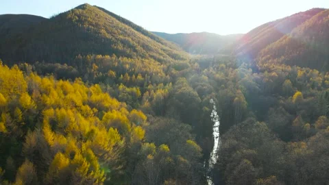 Aerial view of Valley, Mountain Range, Forest in Gold Autumn, Sunset, Sun Rays Stock Footage 165471103