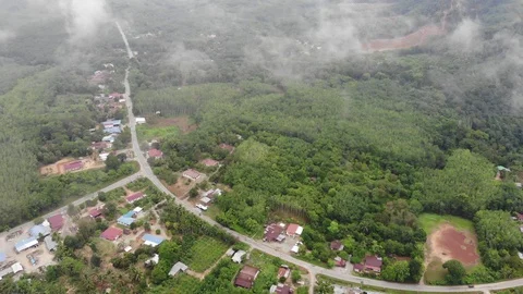 Aerial view of the valley of tropical rainforest in Asia,Malaysia. Video stock 108765415
